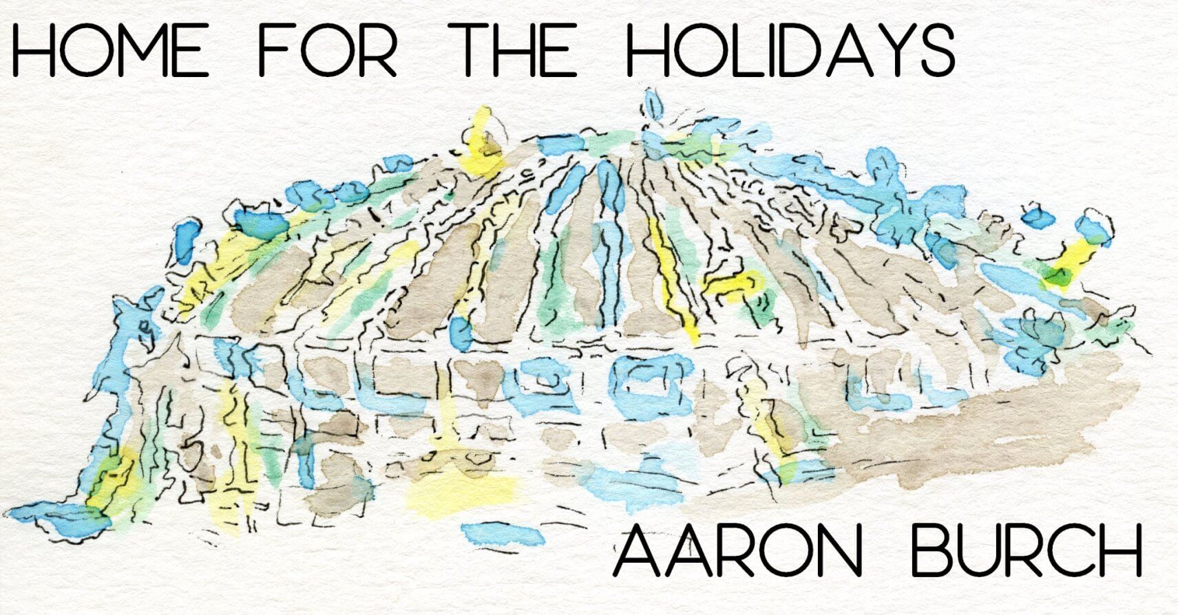 HOME FOR THE HOLIDAYS by Aaron Burch