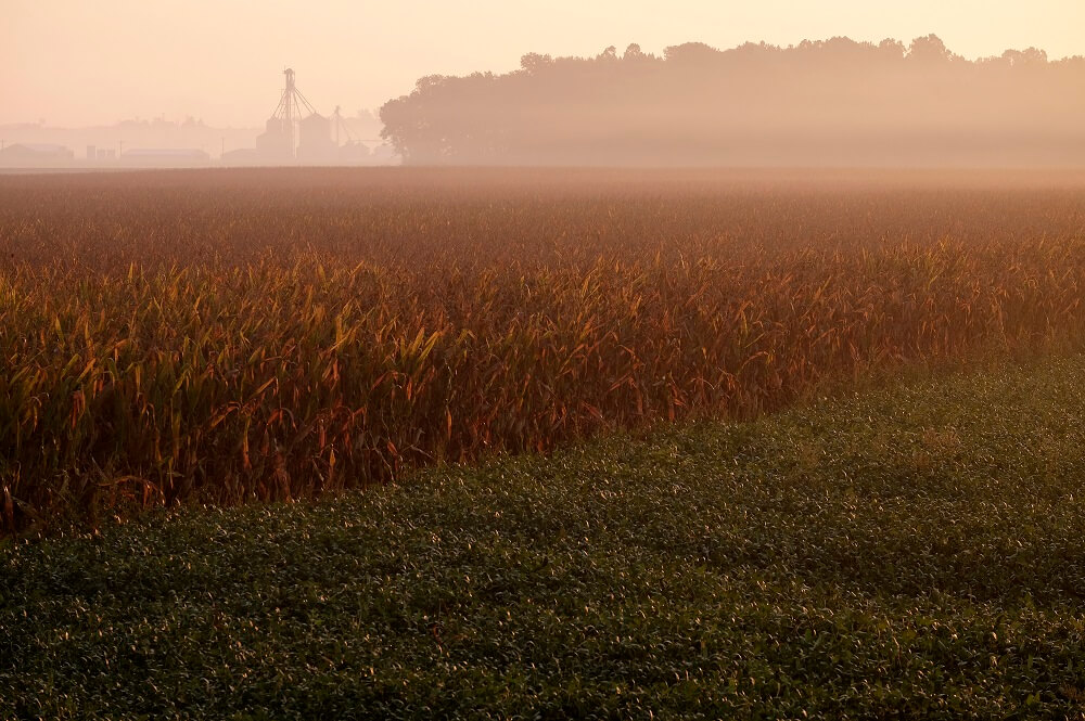 Princeton, IN. Photo by Bonnie Jo Mount/The Washington Post