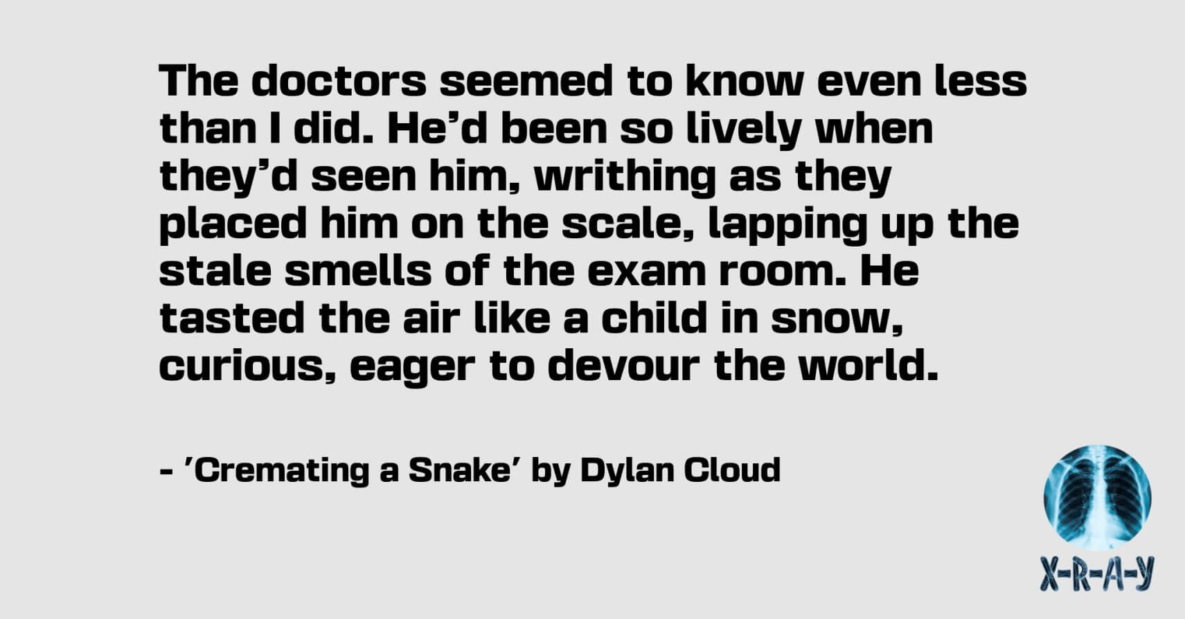 CREMATING A SNAKE by Dylan Cloud