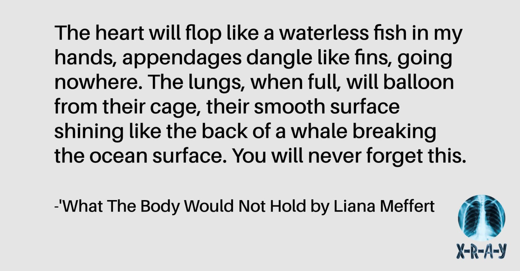 WHAT THE BODY WOULD NOT HOLD by Liana Meffert