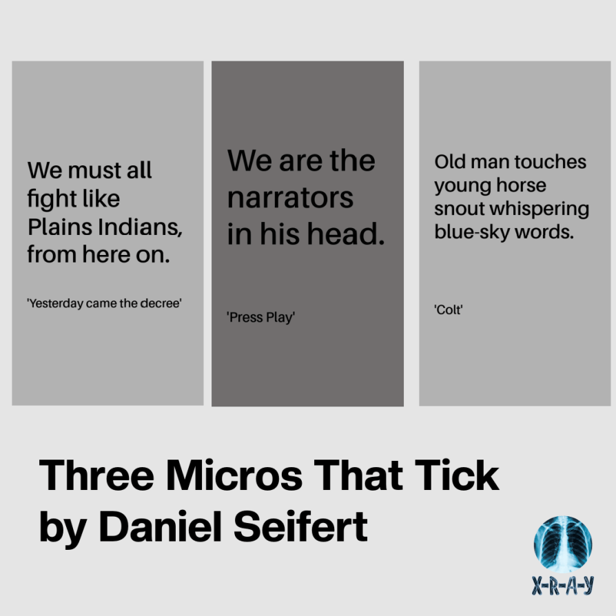 THREE MICROS THAT TICK by Daniel Seifert
