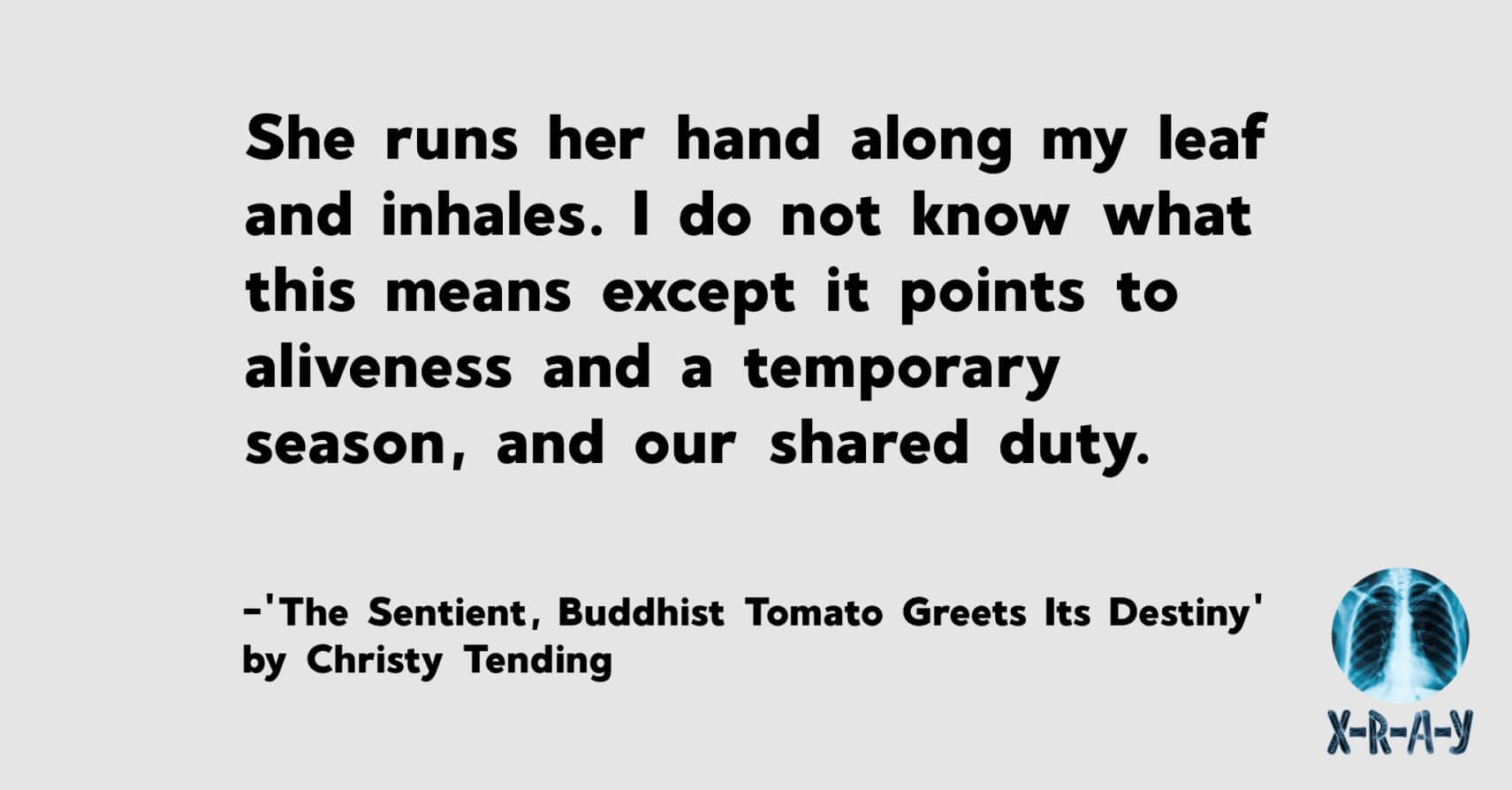 THE SENTIENT, BUDDHIST TOMATO GREETS ITS DESTINY by Christy Tending