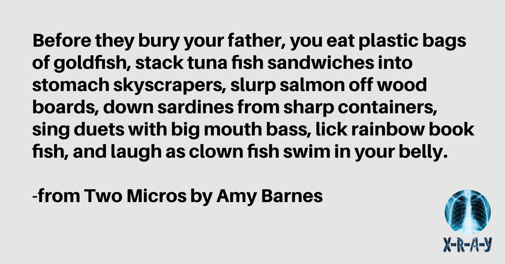 TWO MICROS by Amy Barnes