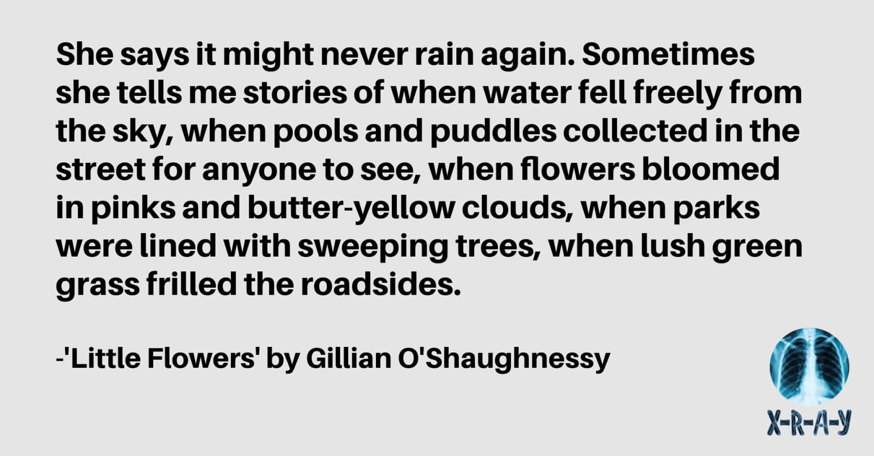 LITTLE FLOWERS by Gillian O’Shaughnessy