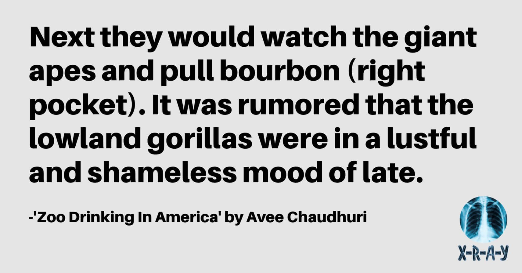 ZOO DRINKING IN AMERICA by Avee Chaudhuri