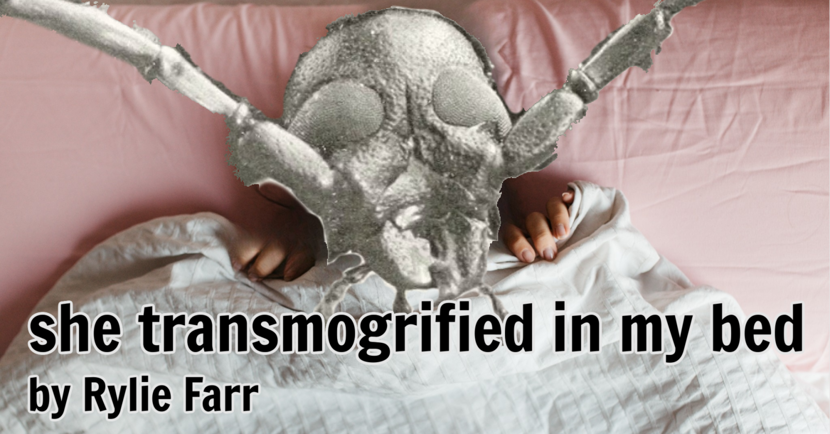 she transmogrified in my bed by Rylie Farr