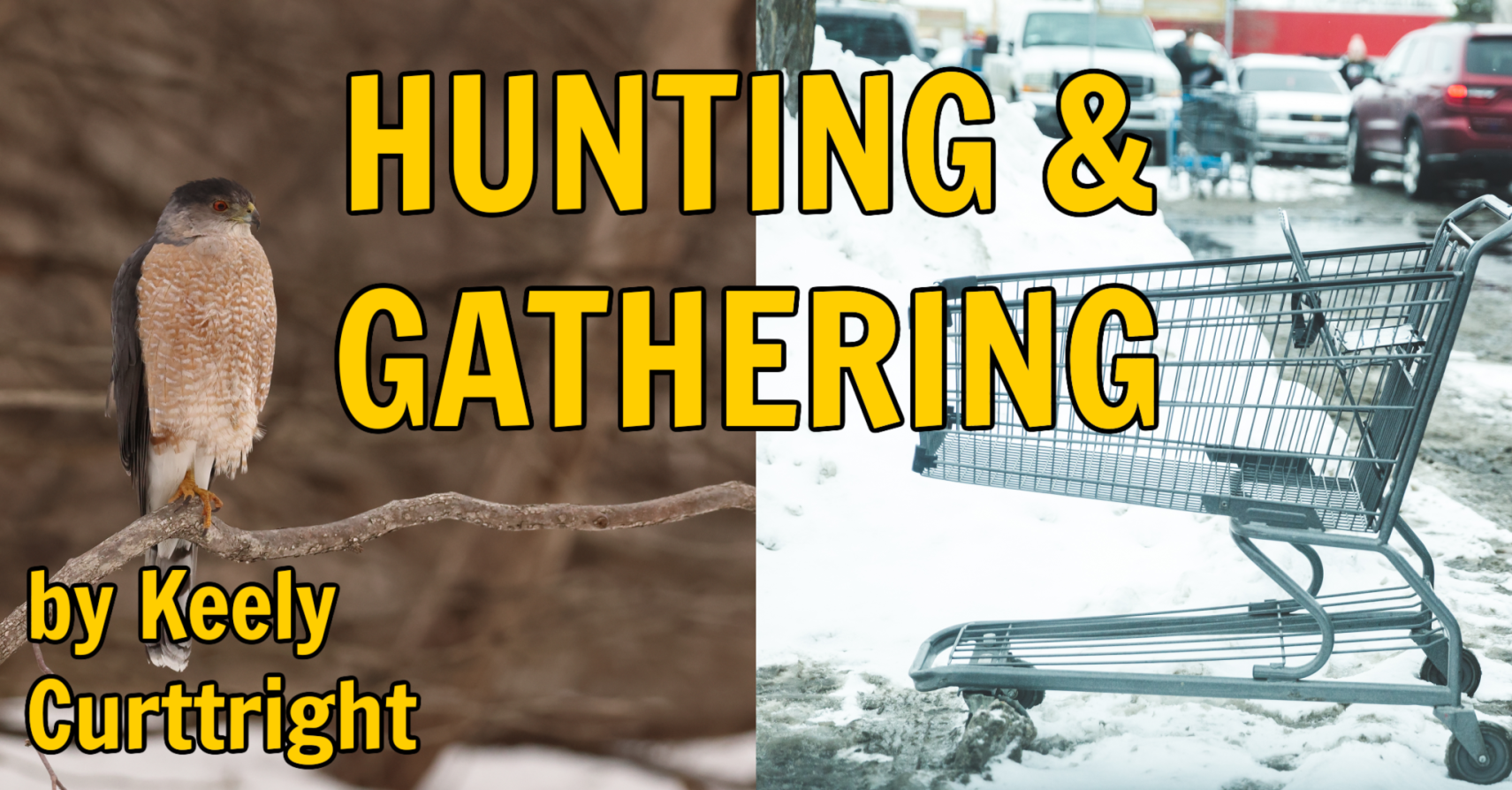 HUNTING & GATHERING by Keely Curttright