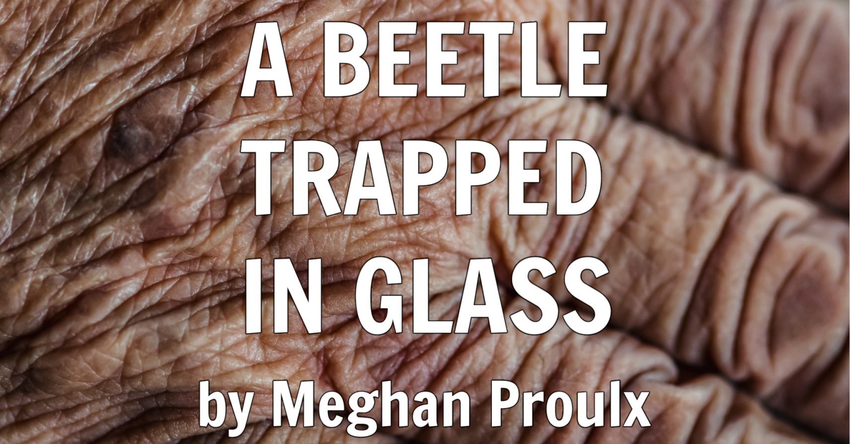 A BEETLE TRAPPED IN GLASS by Meghan Proulx