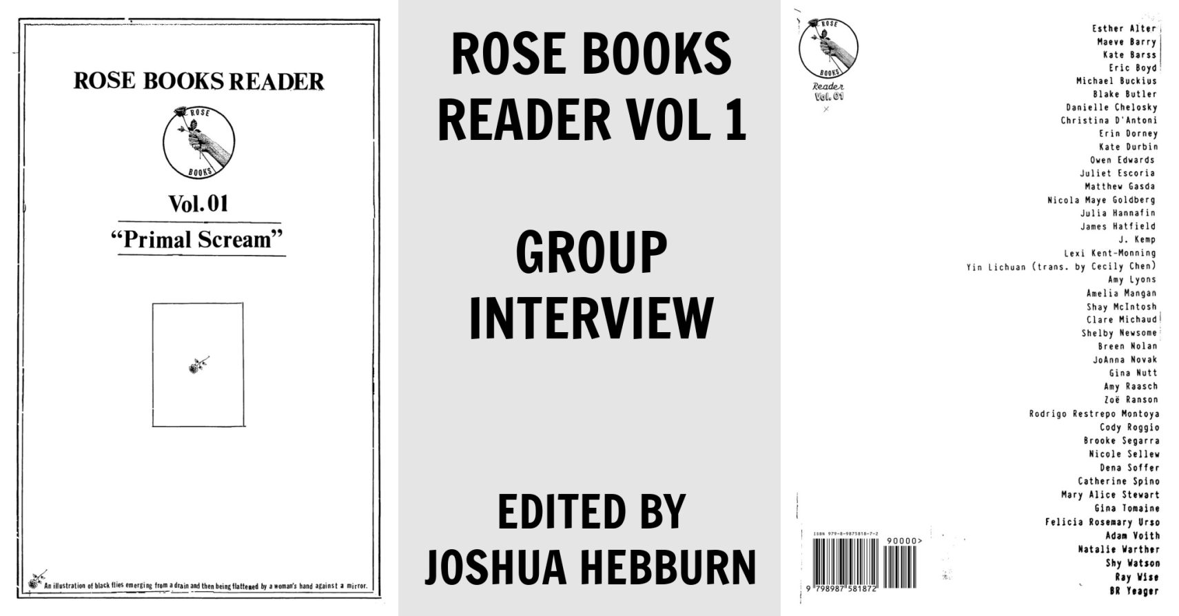 ROSE BOOKS READER VOL 1: GROUP INTERVIEW