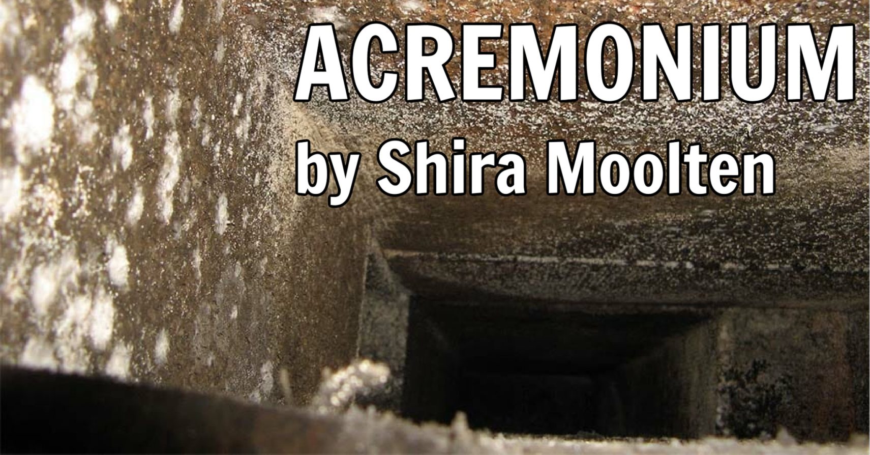 ACREMONIUM by Shira Moolten