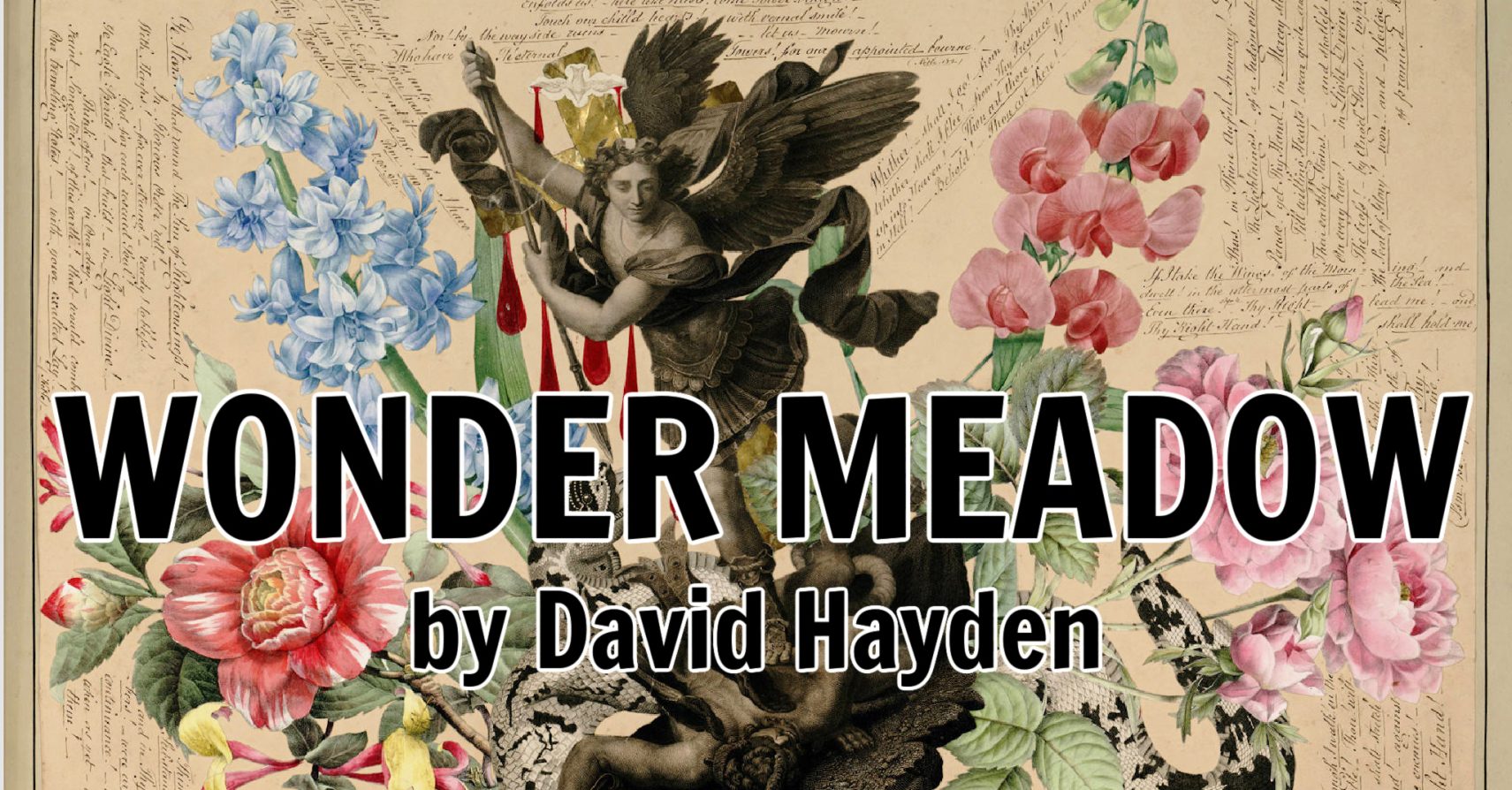 Wonder Meadow by David Hayden