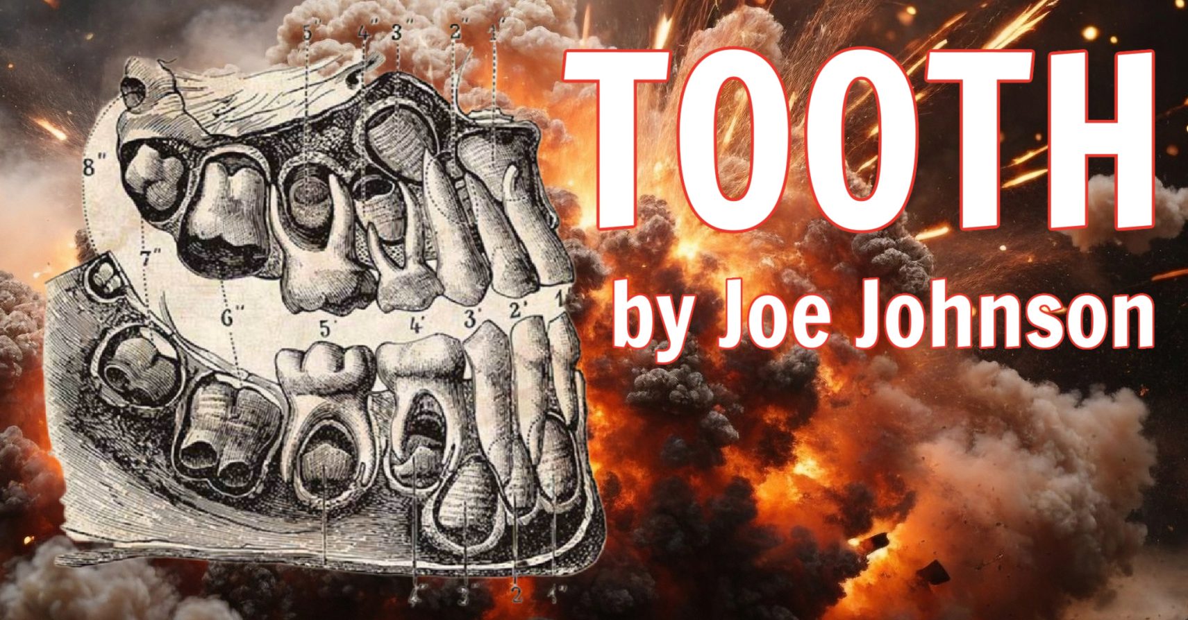 TOOTH by Joe Johnson