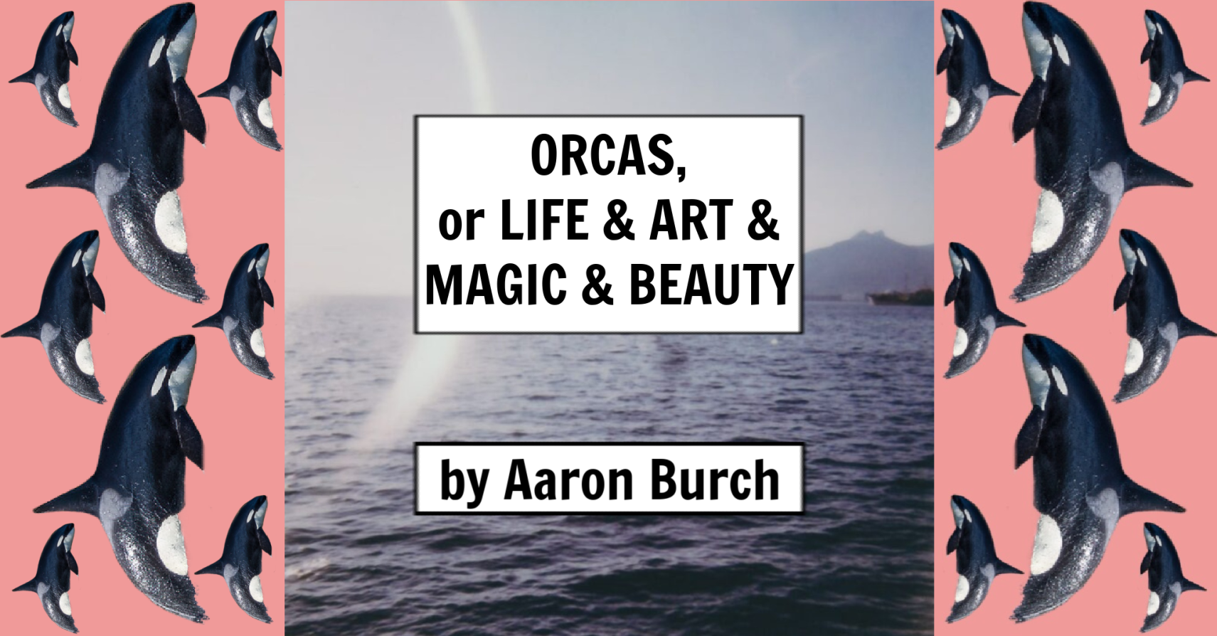 ORCAS, or LIFE & ART & MAGIC & BEAUTY by Aaron Burch