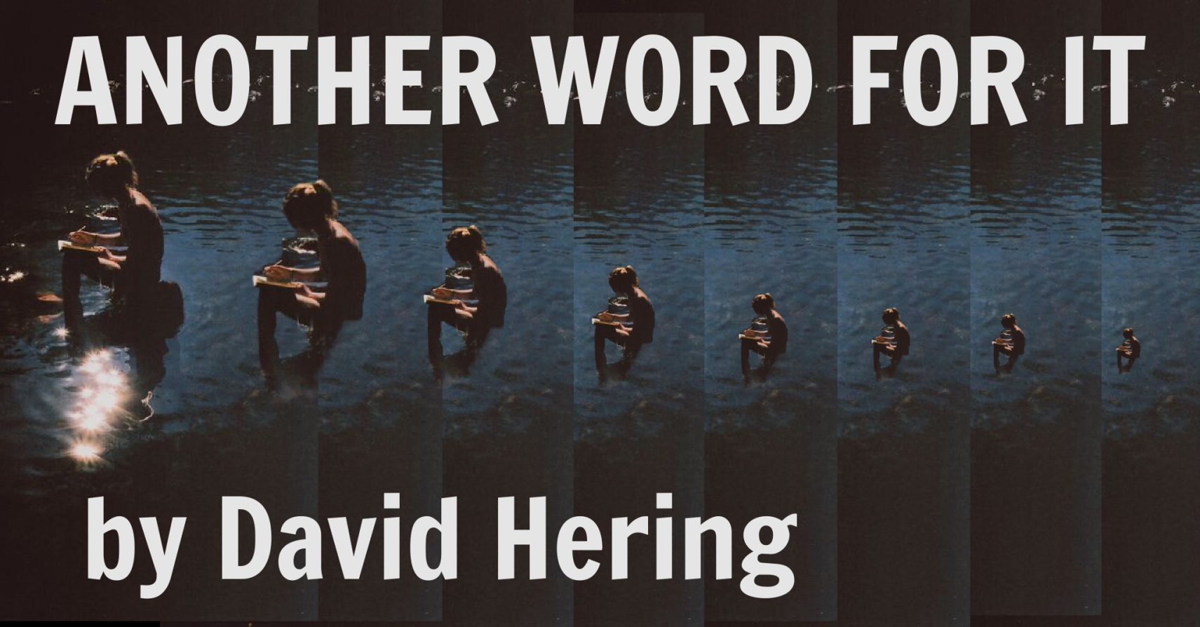 ANOTHER WORD FOR IT by David Hering