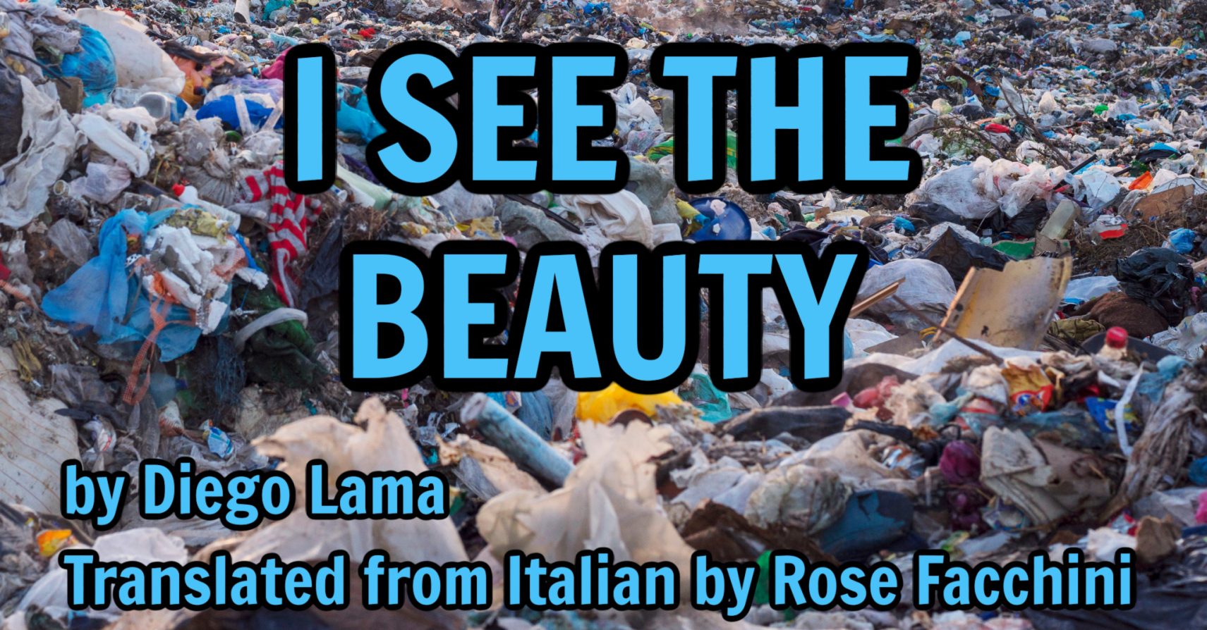I SEE THE BEAUTY by Diego Lama, Translated from Italian by Rose Facchini