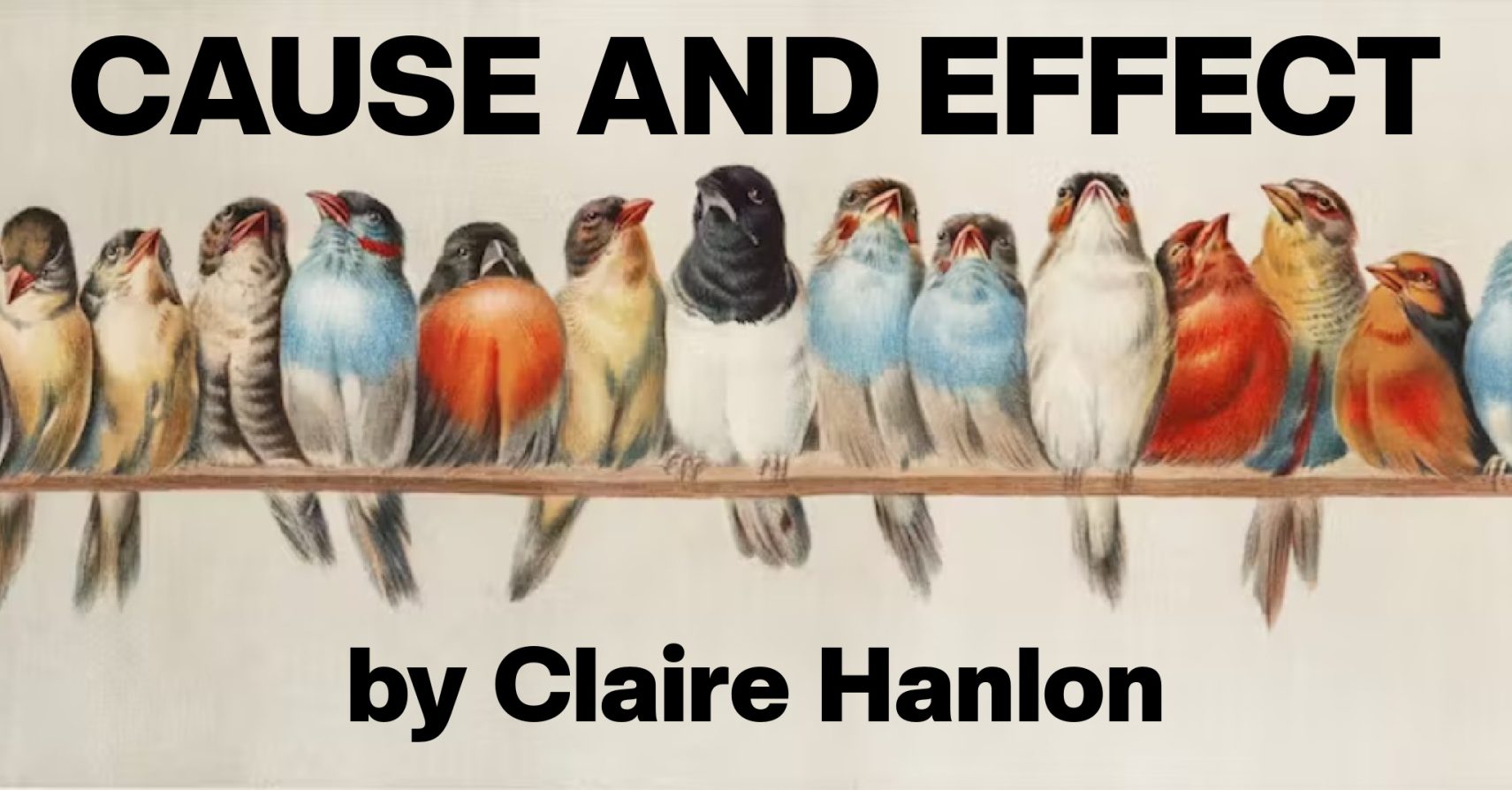 CAUSE AND EFFECT by Claire Hanlon
