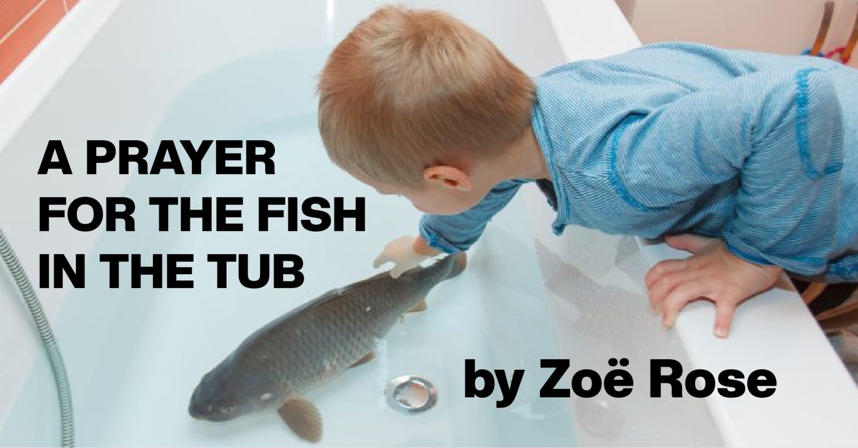A PRAYER FOR THE FISH IN THE TUB by Zoë Rose