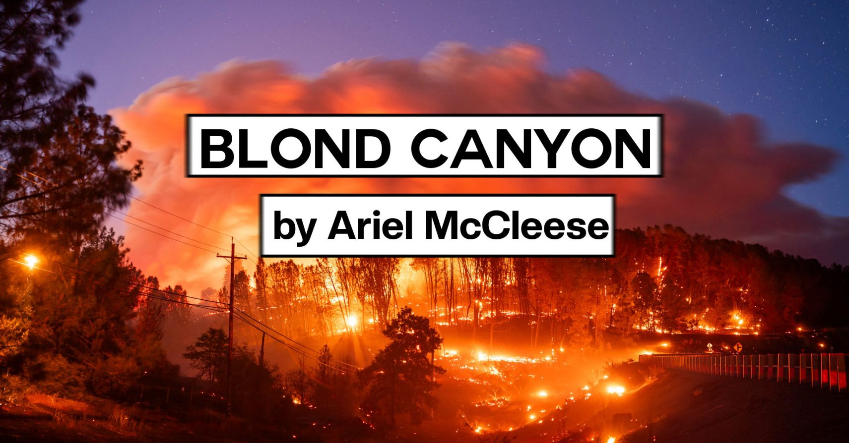 BLOND CANYON by Ariel McCleese BLOND CANYON by Ariel McCleese