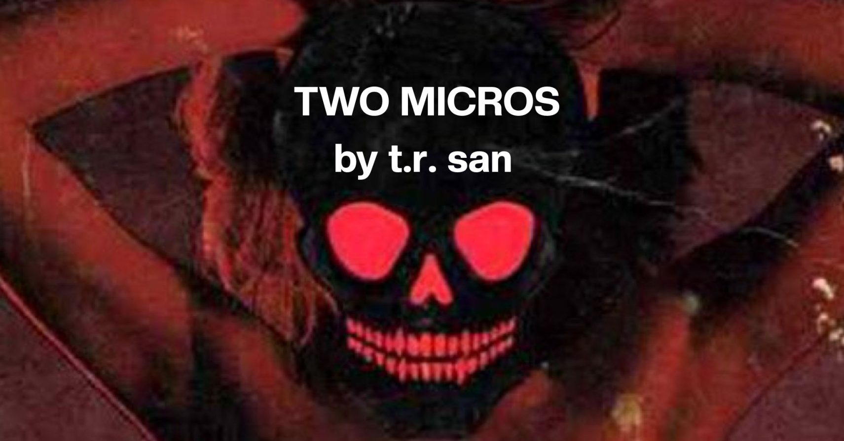 TWO MICROS by t.r. san TWO MICROS by t.r. san