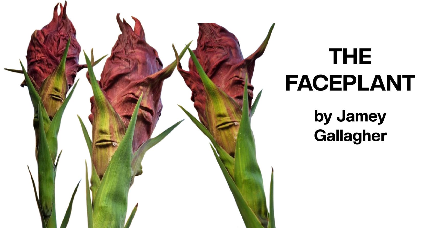 THE FACEPLANT by Jamey Gallagher