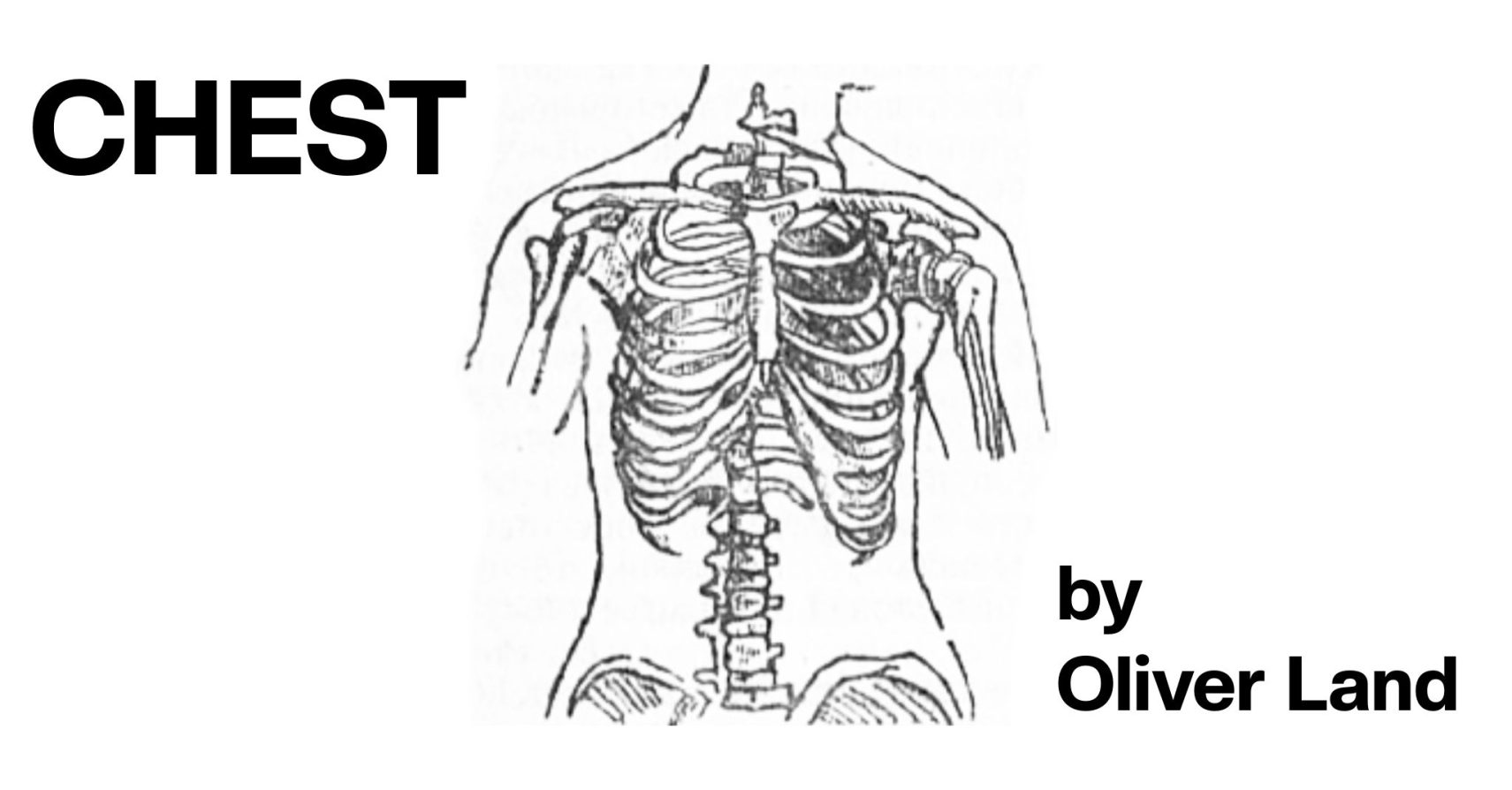 CHEST by Oliver Land