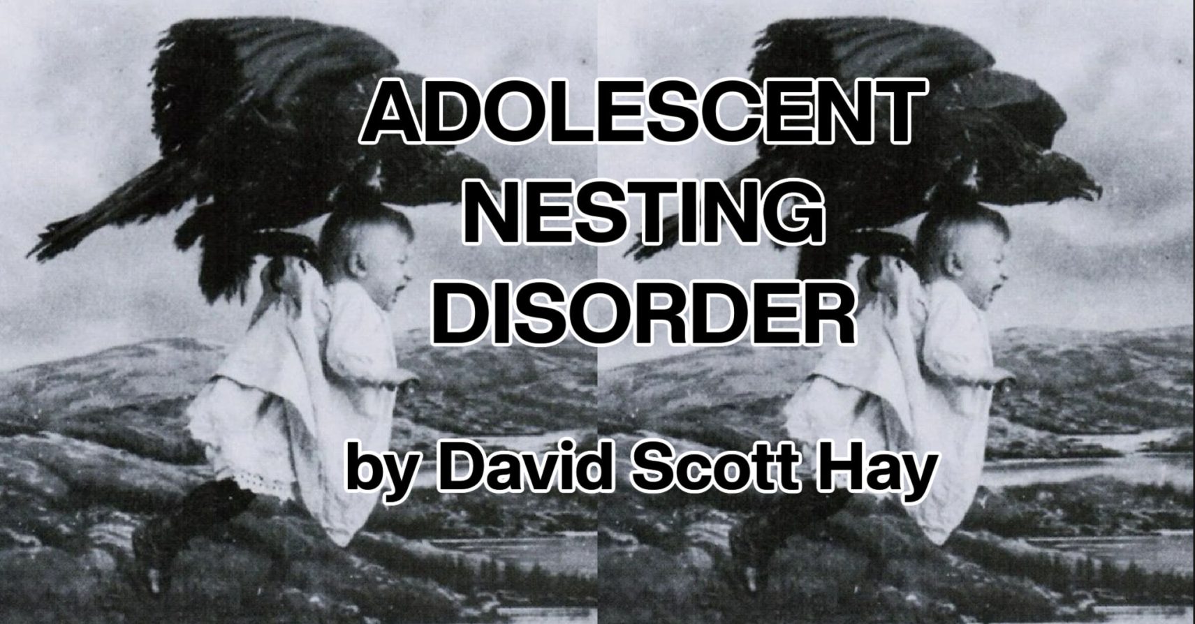 Adolescent Nesting Disorder by David Scott Hay Adolescent Nesting Disorder by David Scott Hay