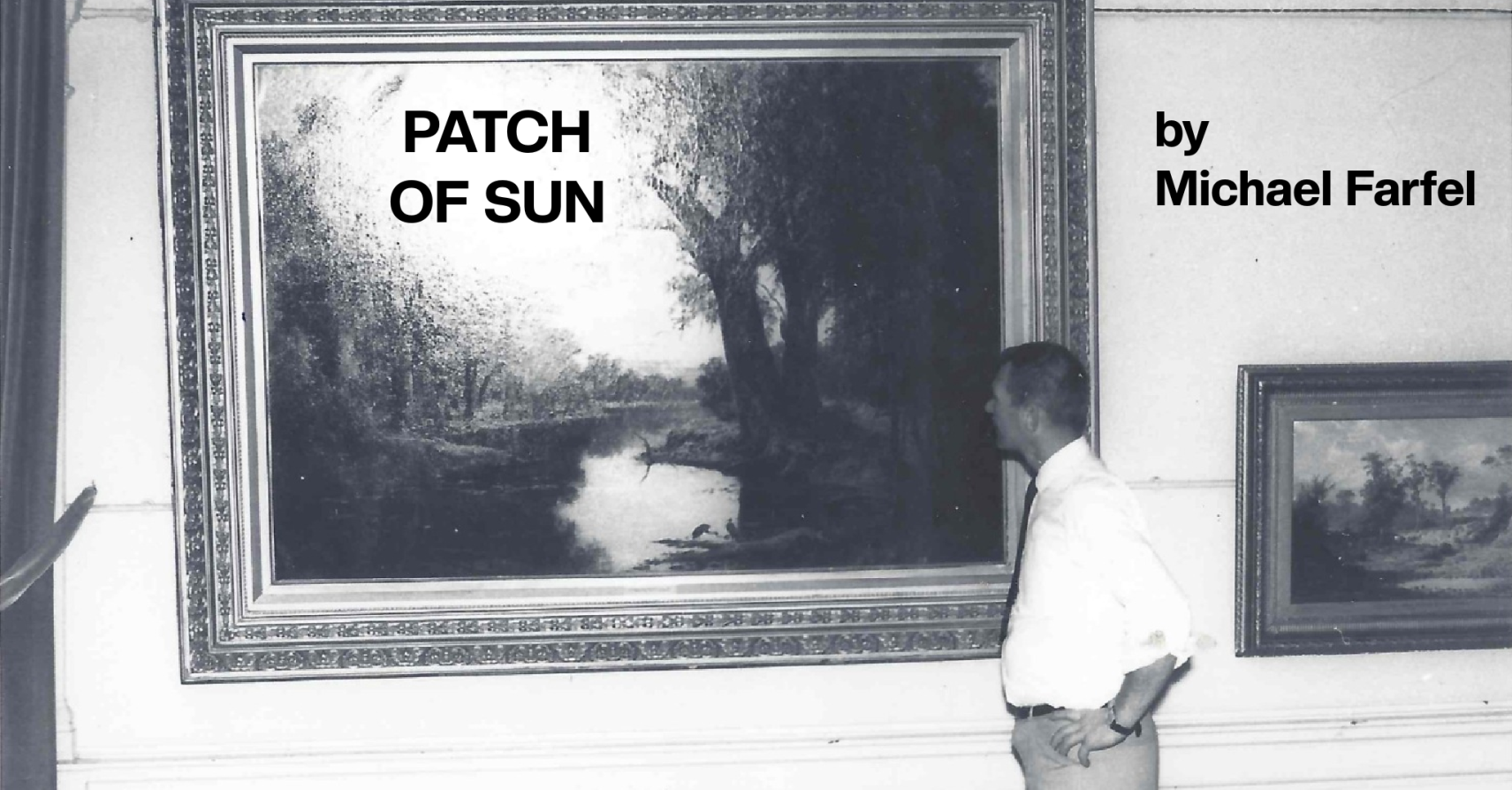 Patch of Sun by Michael Farfel