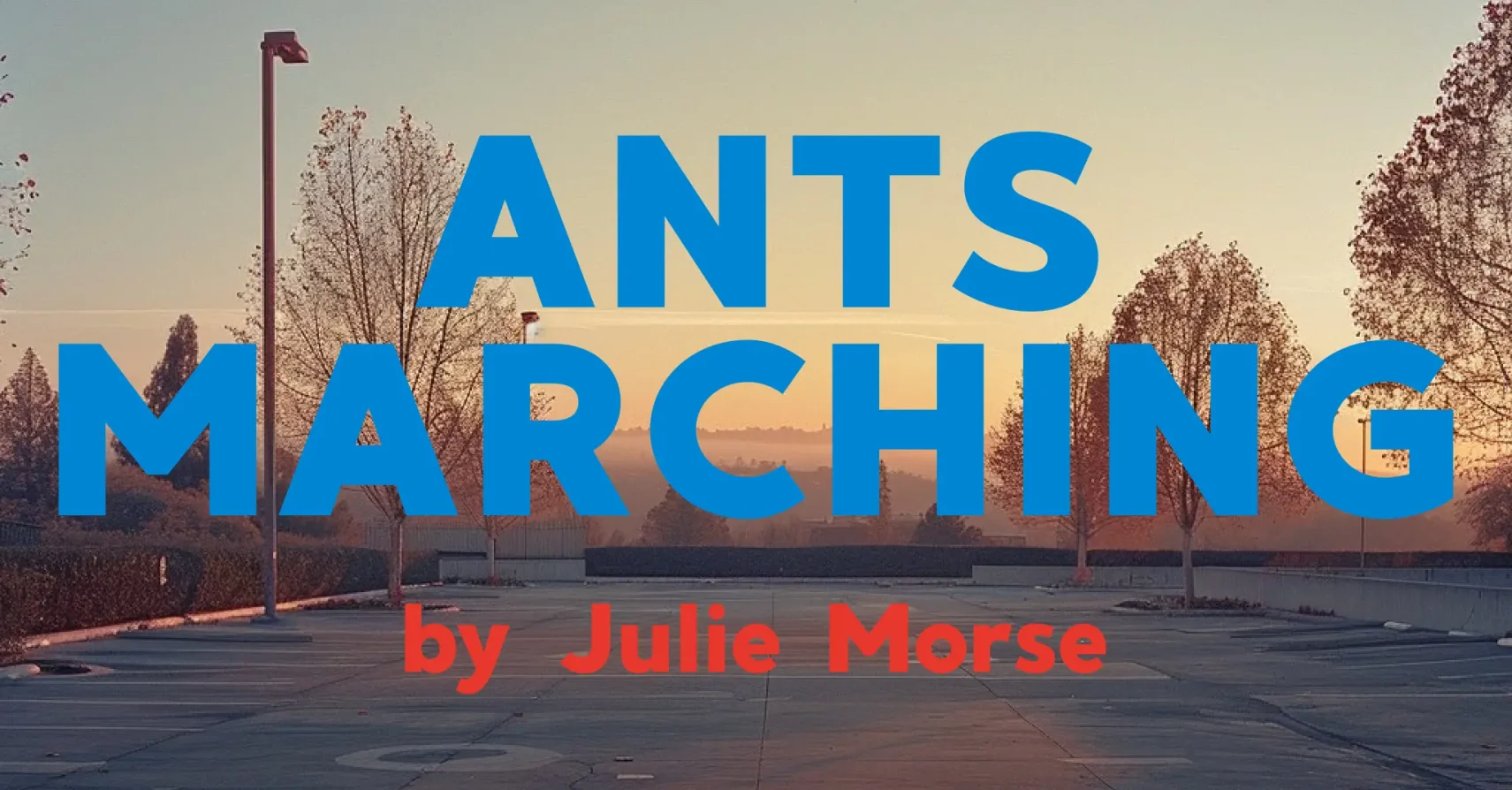 Ants Marching by Julie Morse Ants Marching by Julie Morse