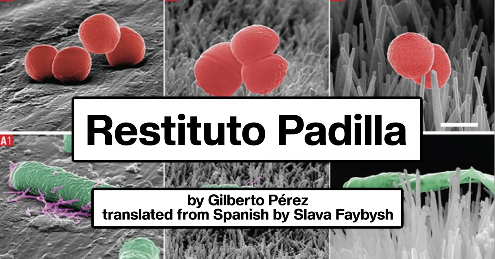Restituto Padilla by Gilberto Pérez, translated from Spanish by Slava Faybysh Restituto Padilla by Gilberto Pérez, translated from Spanish by Slava Faybysh