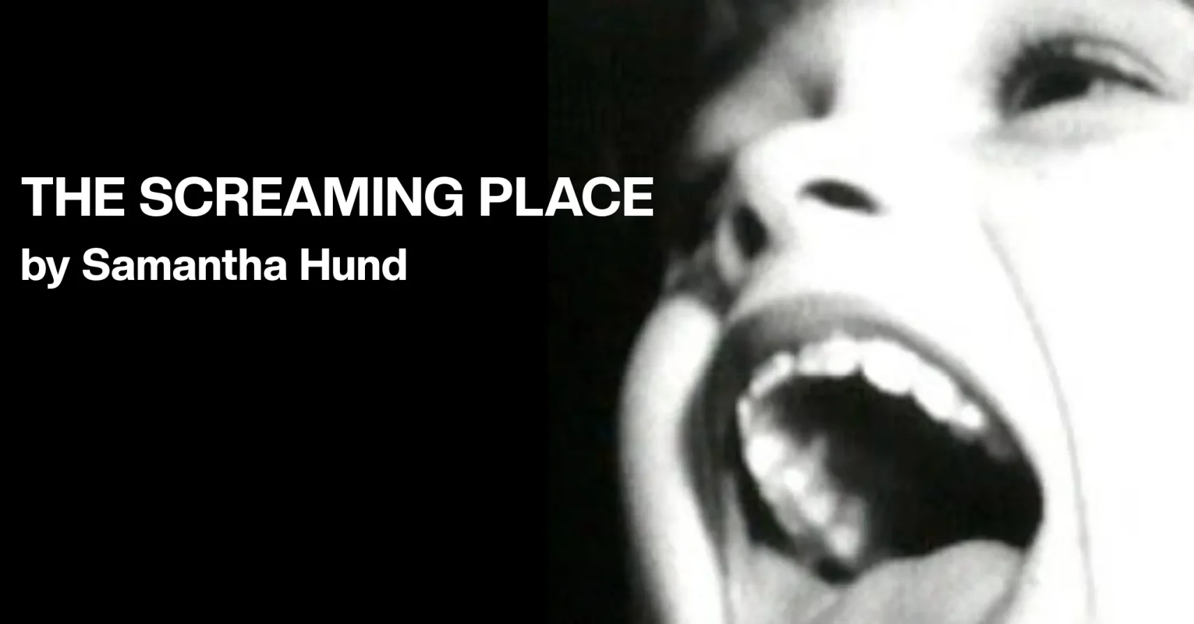 The Screaming Place by Samantha Hund The Screaming Place by Samantha Hund